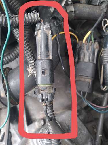 296160038_5906016276109067_4870521701563736225_n