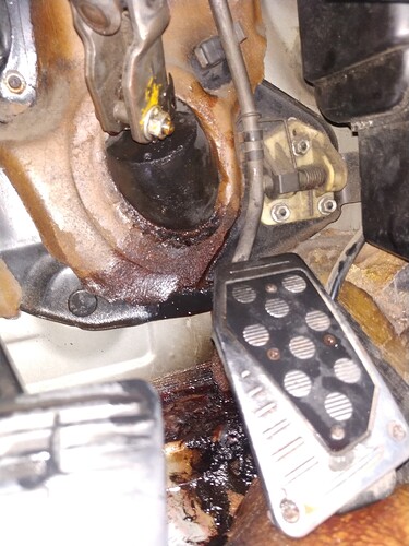 IMG_2022-02-28-13-26-47-283