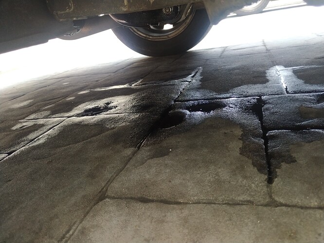 IMG_2022-02-28-12-43-17-185